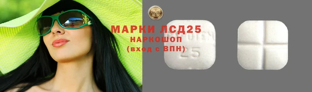 сатива Волосово