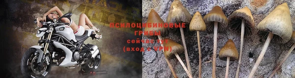 МДПВ Верхний Тагил